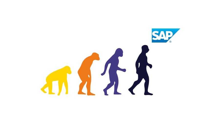 Tipos de SAP y sus características