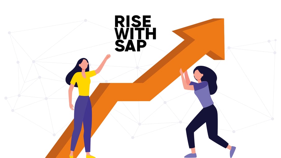 RISE with SAP (SAP RISE)