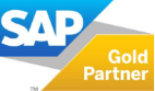 SAP Gold Partner México