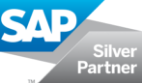 SAP Silver Partner España