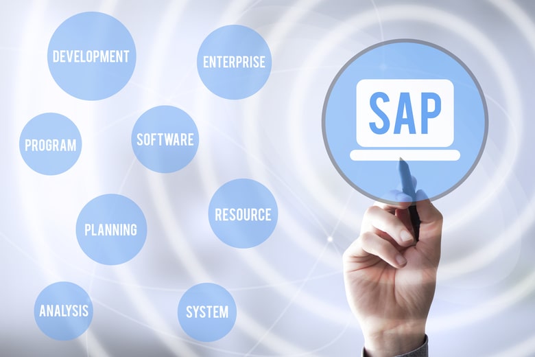 Base de Datos SAP: Aspectos Básicos que Debes Conocer