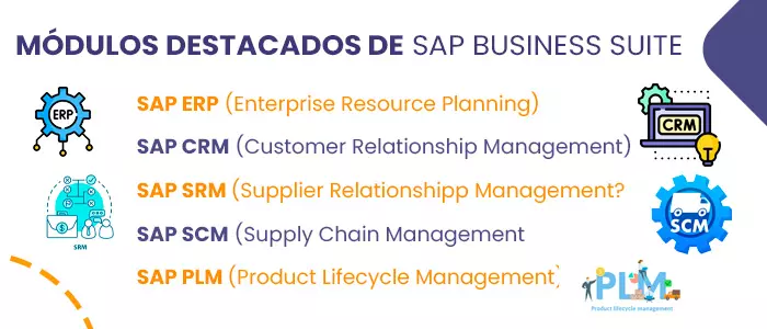 SAP BUSINESS SUITE