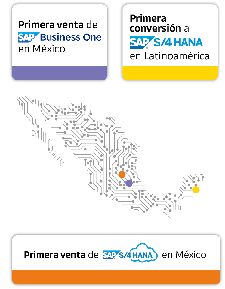 Implementación de SAP Business ONE, lo que necesitas saber