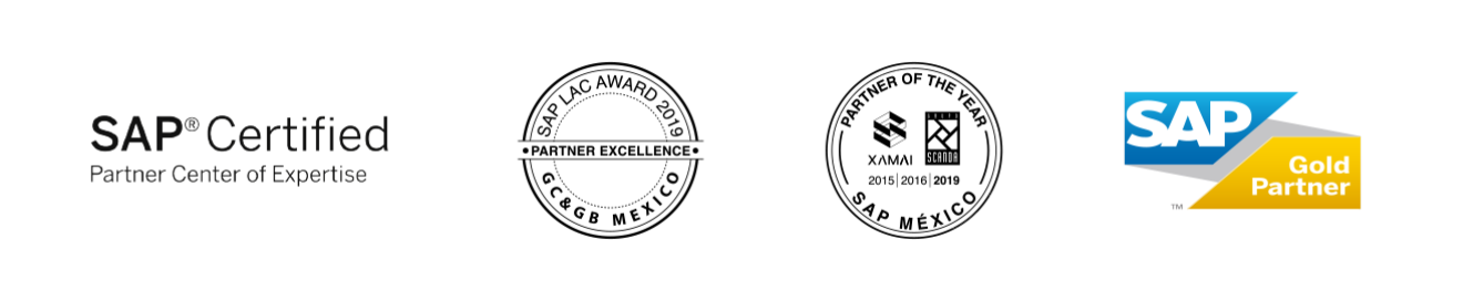 SAP Partners y su eficacia para potenciar tu negocio