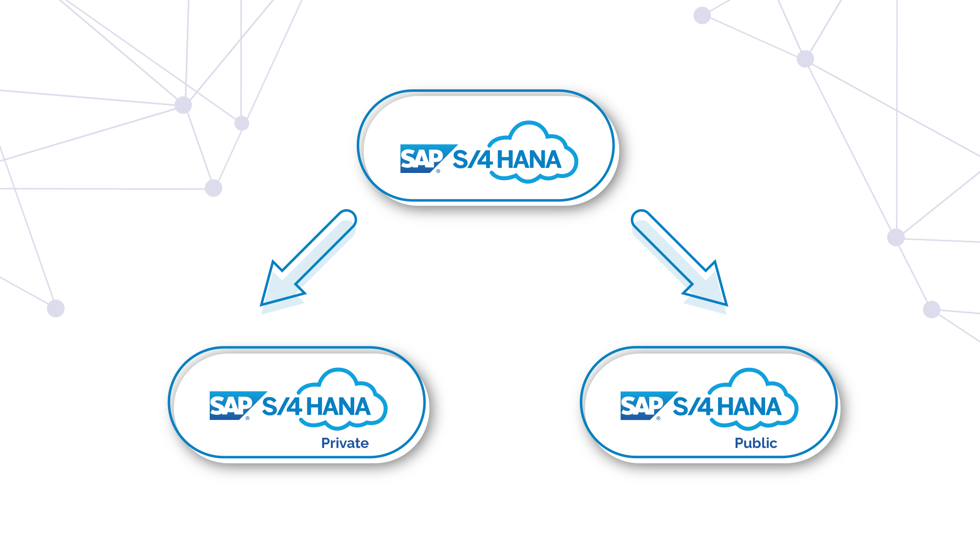 Tipos de SAP y sus características