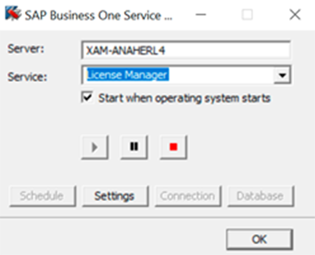 SAP B1 Service