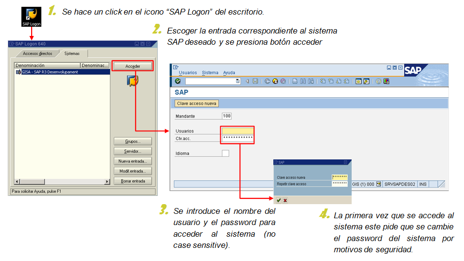 SAP LOGON 1