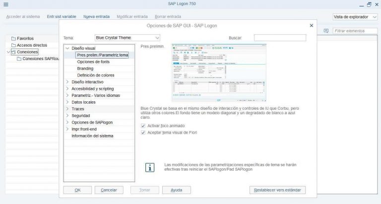 ¿Qué es SAP Logon?