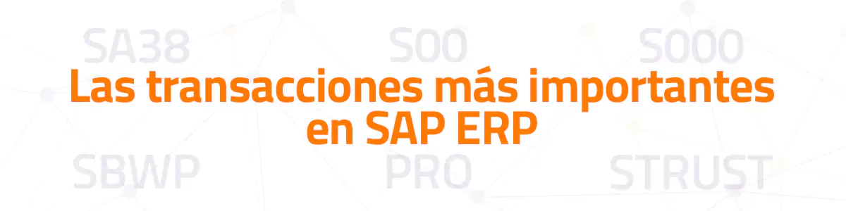 Todo sobre las transacciones en SAP
